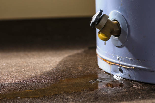 Best Flood restoration services  in Gerald, MO