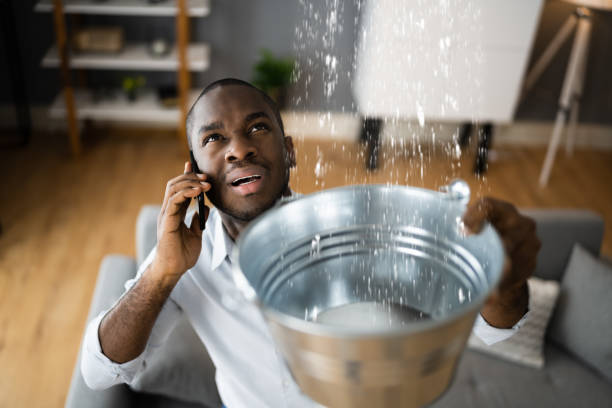 Best Ceiling water damage repair  in Gerald, MO