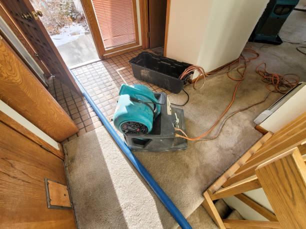 Best Water damage restoration near me  in Gerald, MO