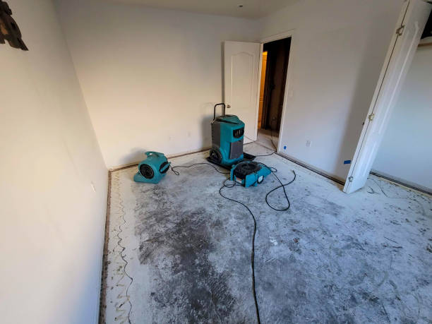 Best Water damage restoration near me  in Gerald, MO