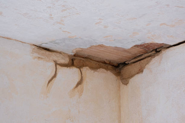 Best Water damage restoration near me  in Gerald, MO