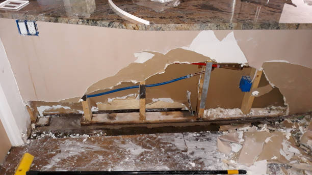 Best Fire Damage Restoration  in Gerald, MO