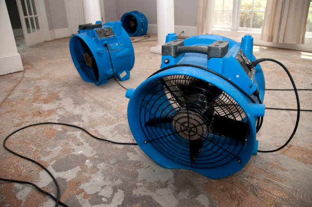 Best Emergency water damage restoration  in Gerald, MO