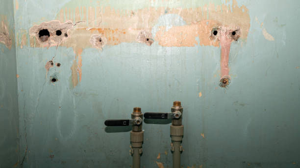 Best Water damage cleanup near me  in Gerald, MO