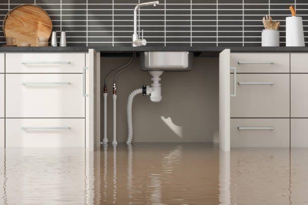 Best Water damage restoration process  in Gerald, MO