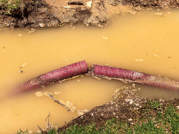 Best 24/7 water damage repair  in Gerald, MO