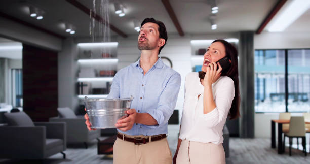 Best Professional water damage repair  in Gerald, MO