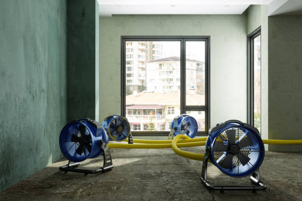 Best Commercial water damage restoration  in Gerald, MO